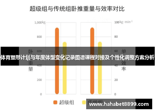 体育塑形计划与年度体型变化记录图谱课程对接及个性化调整方案分析