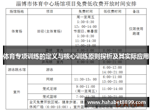 体育专项训练的定义与核心训练原则探析及其实际应用